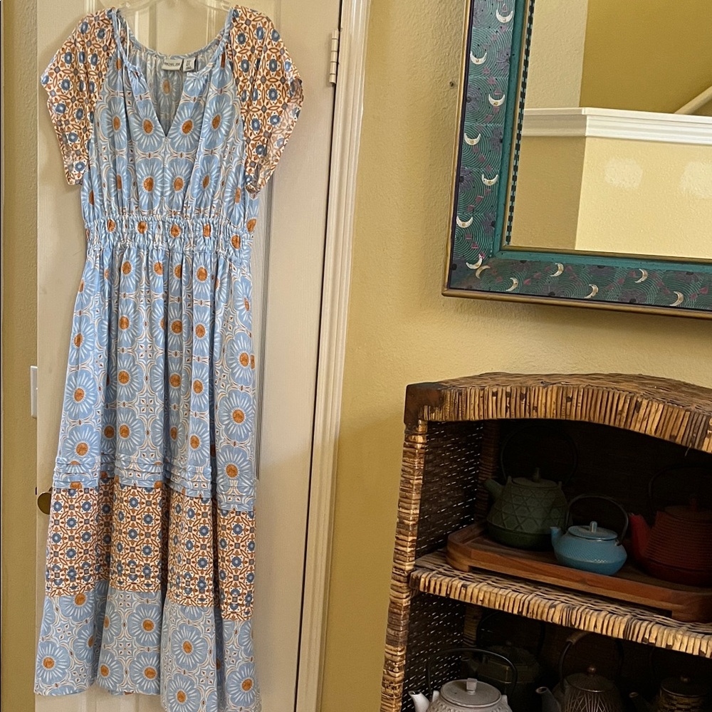 Rachel Zoe Maxi Dress with Blue and Brown Floral Design